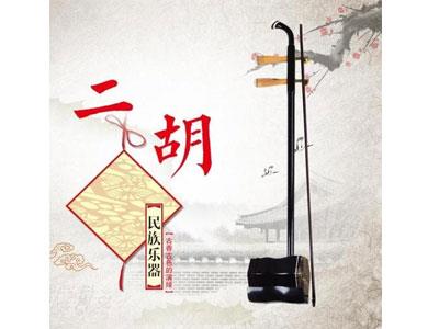 招聘柳州二胡家教老师